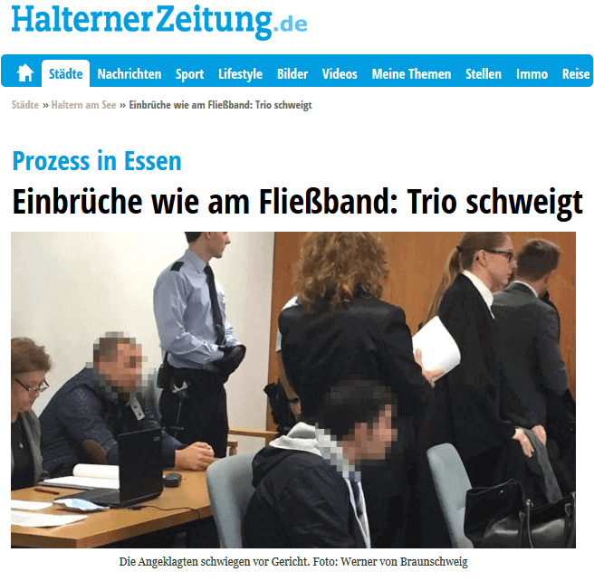 Einbruch, Profi Einbrecherbande 